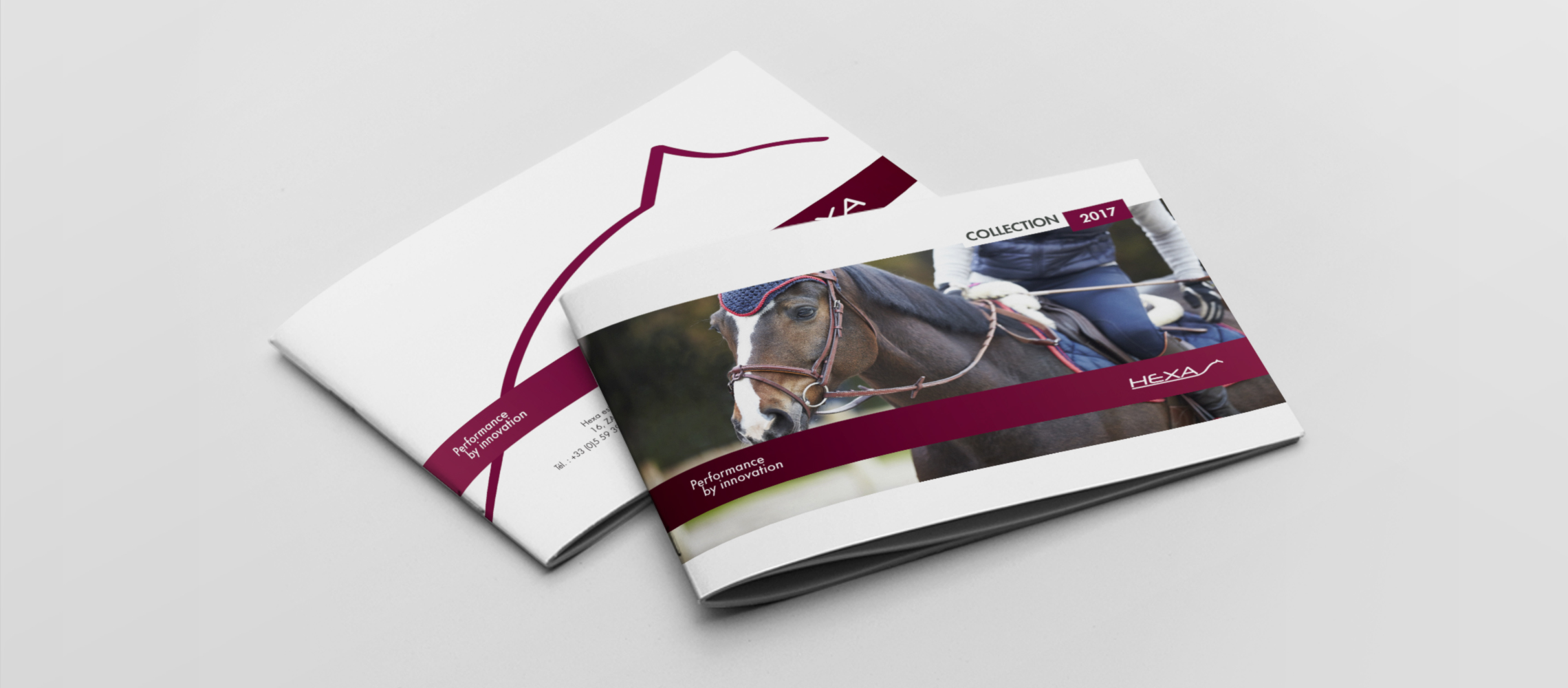 Projet Awam Hexa Horse