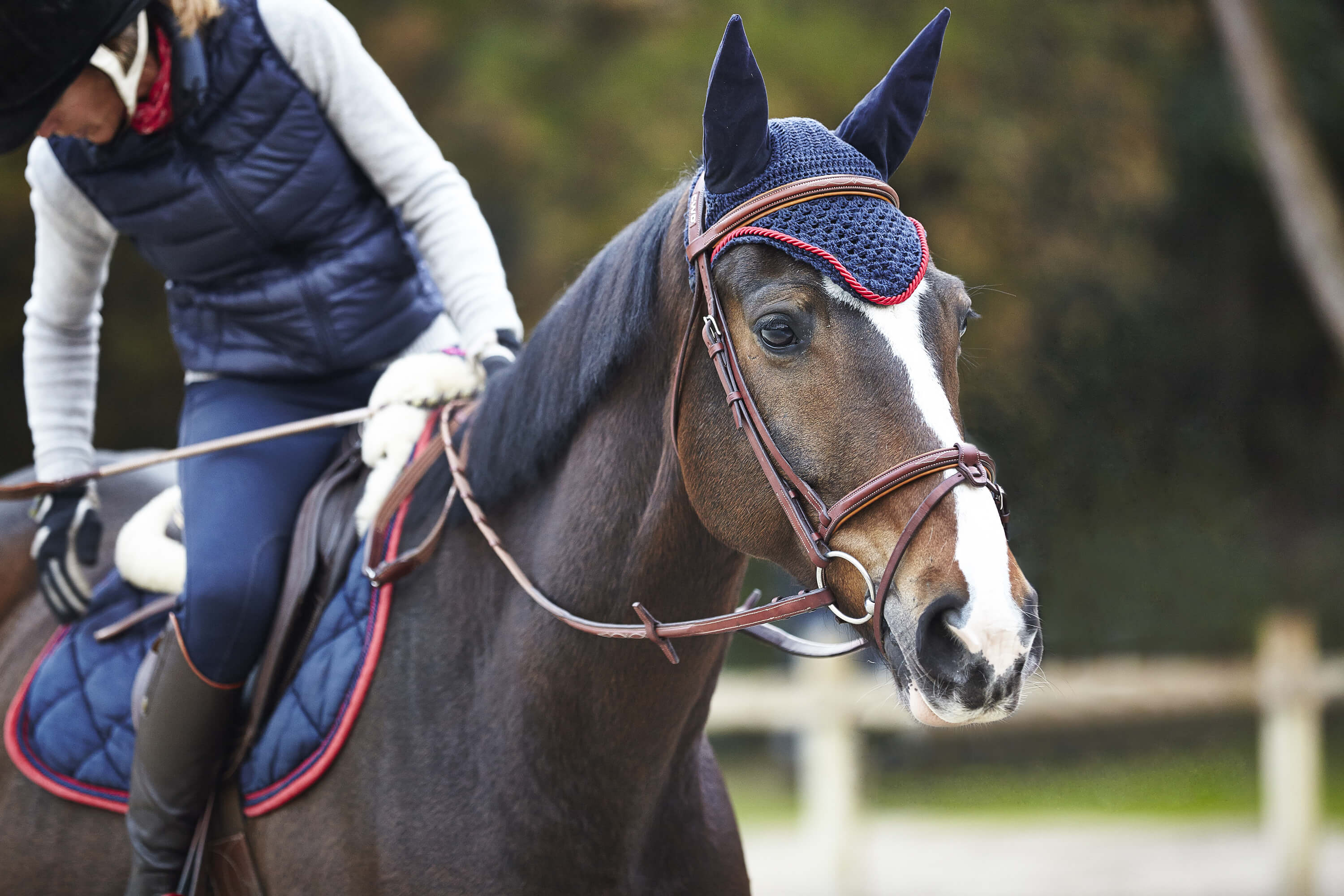 Agence Awam bannière Hexa Horse