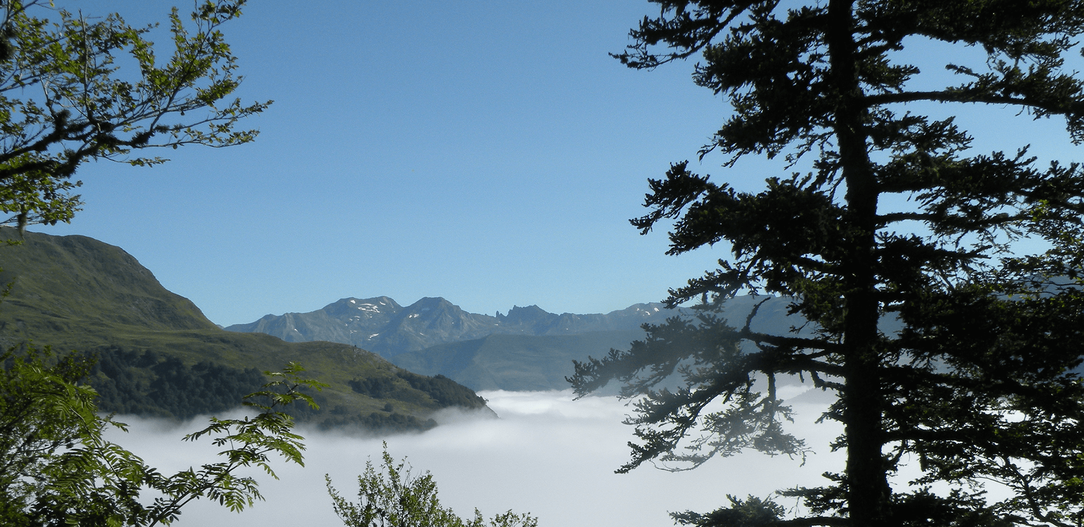 Agence Awam bannière Géréa