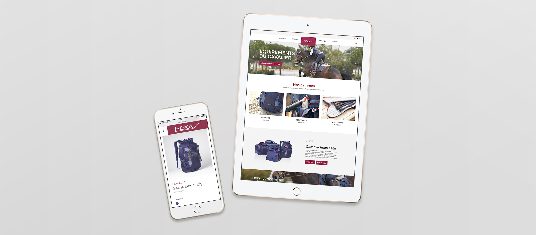 Image galerie projet Awam Hexa Horse