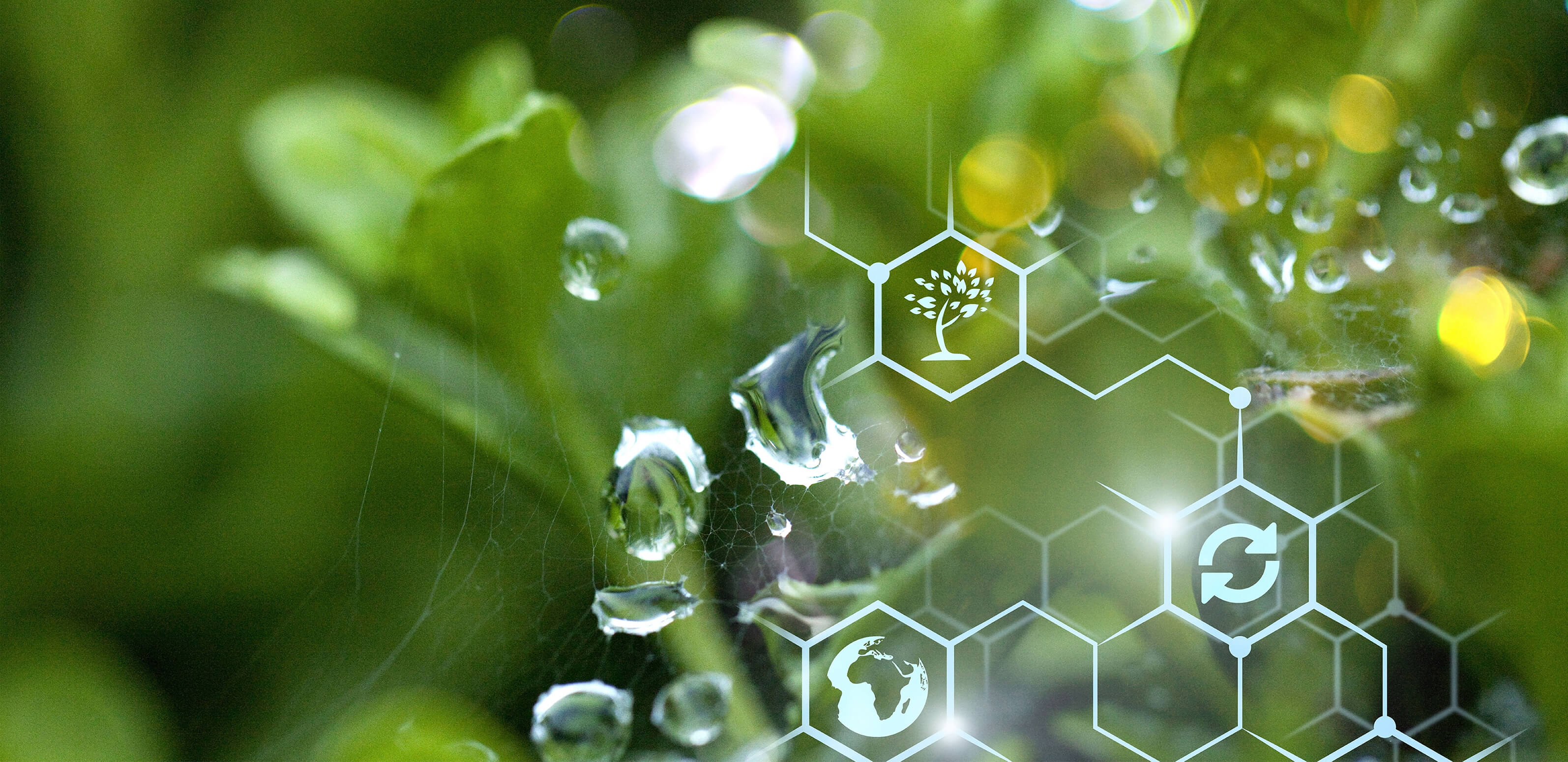 Agence Awam bannière Axelera