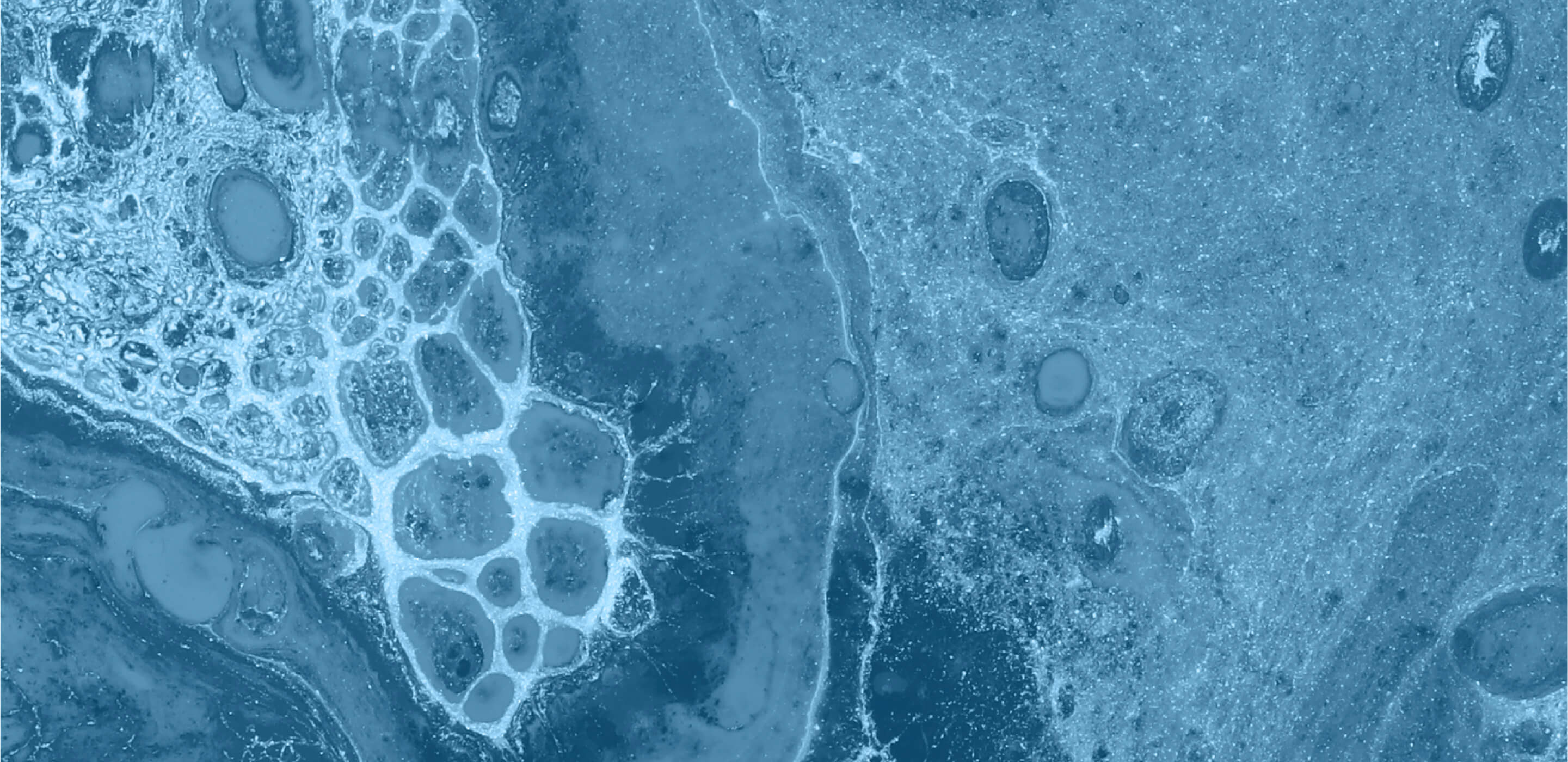 Agence Awam bannière France Water Team