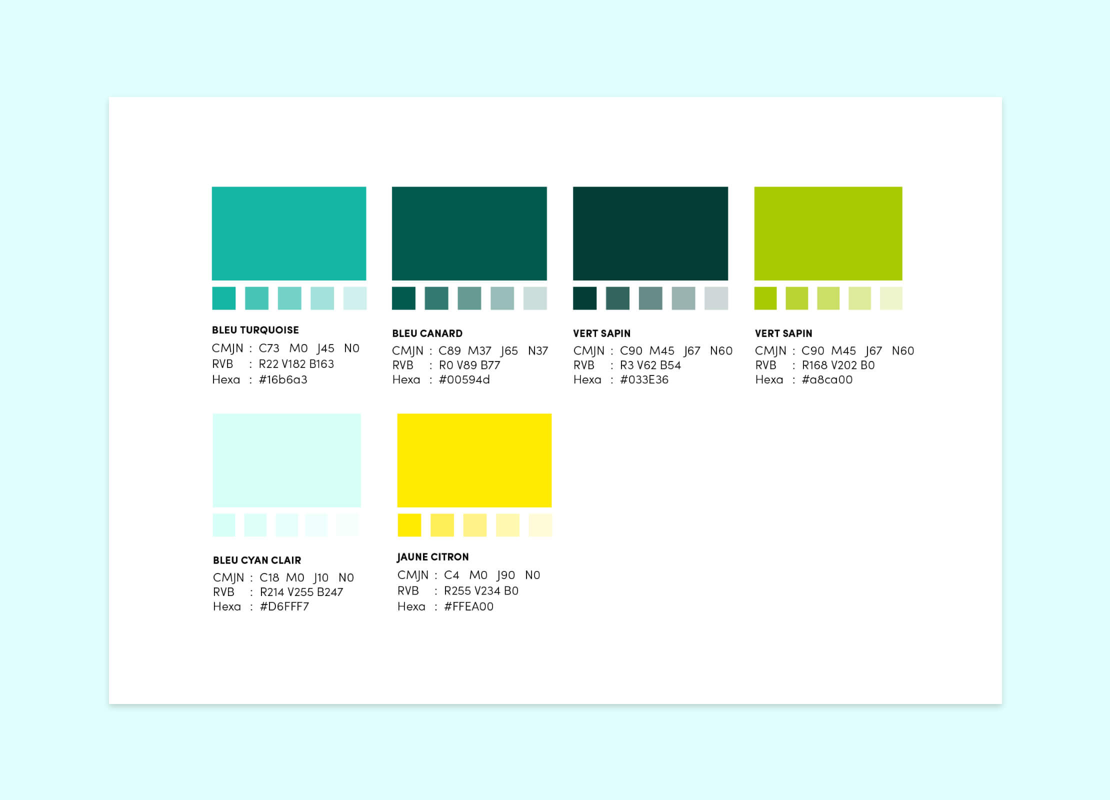 Image galerie projet Awam Avenia