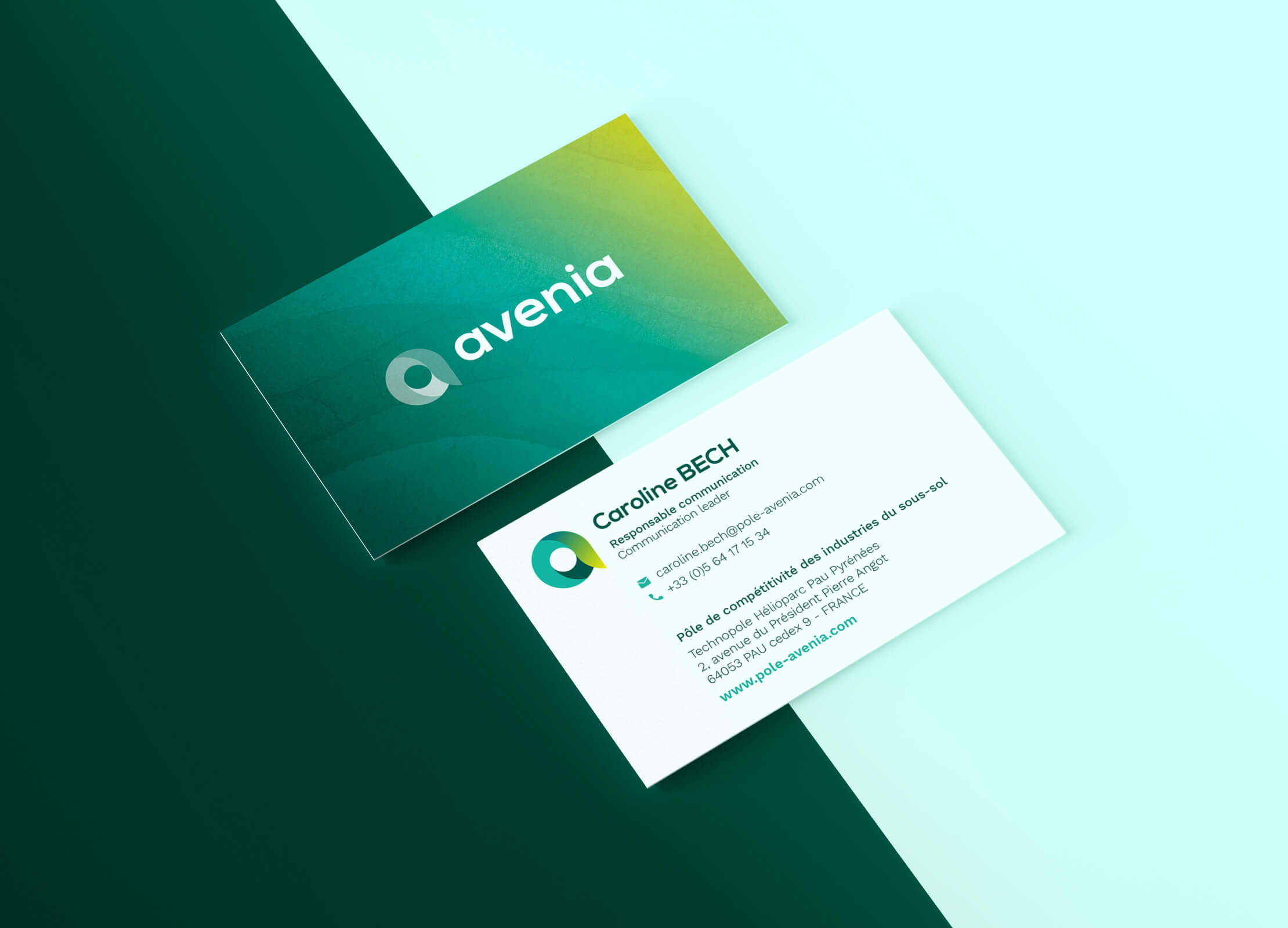 Image galerie projet Awam Avenia